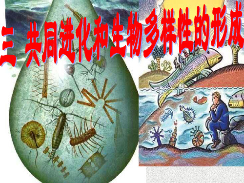 生物：7.2.3《共同进化与生物多样性的形成》课件(新人教版必修2)