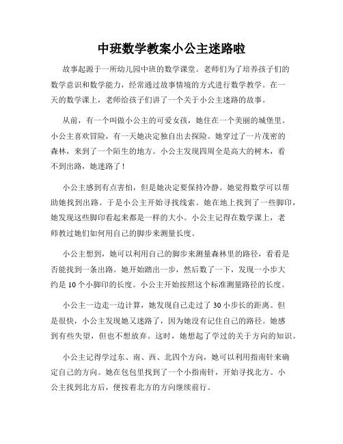 中班数学教案小公主迷路啦