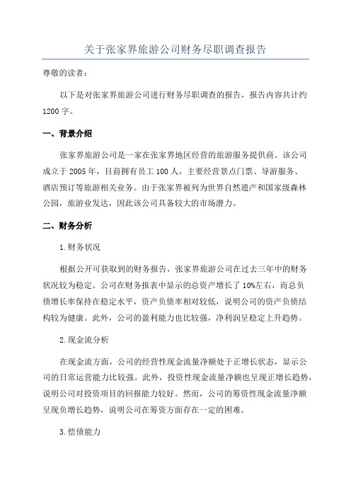 关于张家界旅游公司财务尽职调查报告