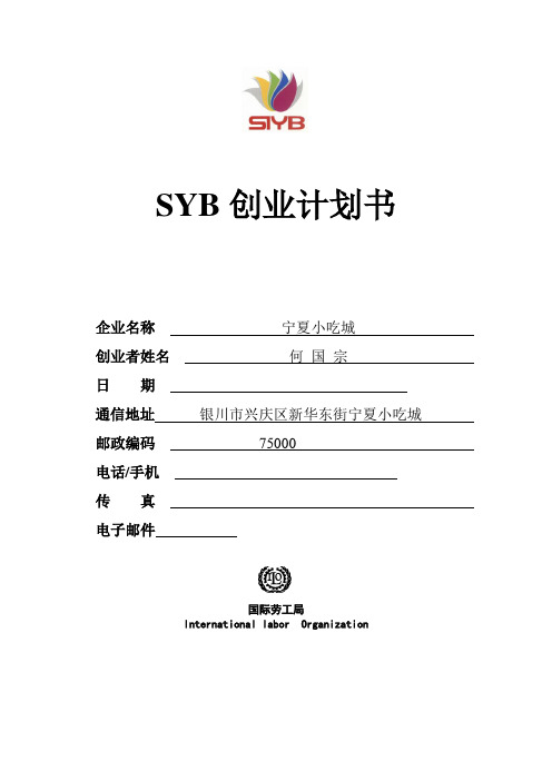 SYB创业计划书模板 空白