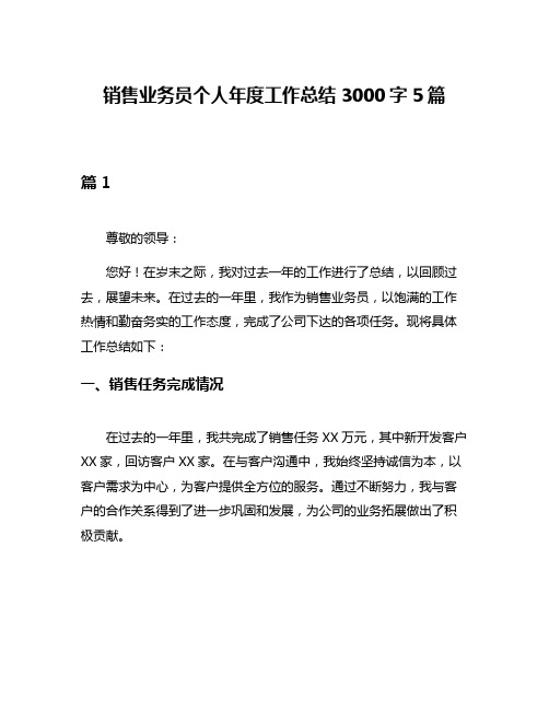 销售业务员个人年度工作总结3000字5篇