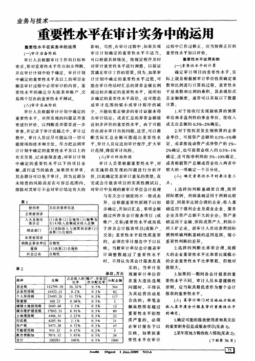 重要性水平在审计实务中的运用