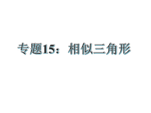 届中考专题复习专题相似三角形(共35张)PPT课件