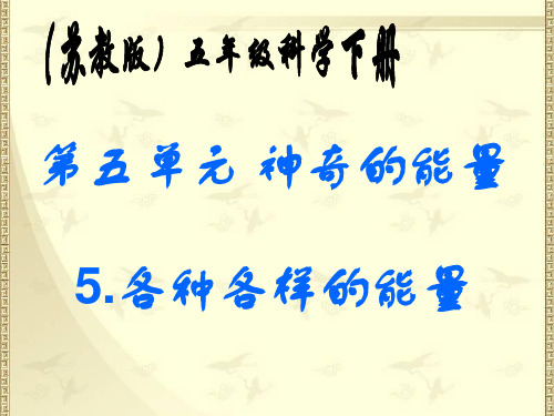 六年级下册科学各种各样的能量苏教版 (4)