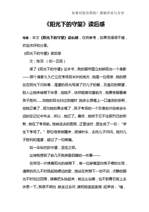 《阳光下的守望》读后感