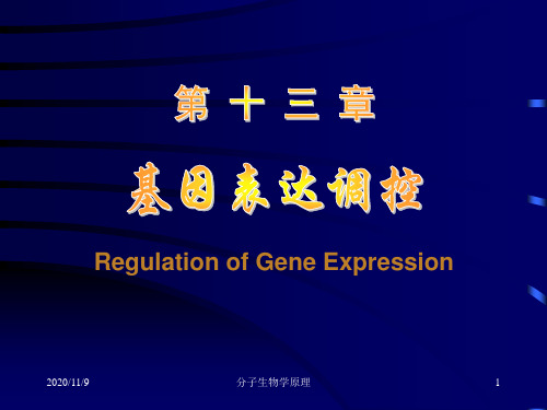 新编文档分子生物学原理--基因表达调控精品文档PPT课件