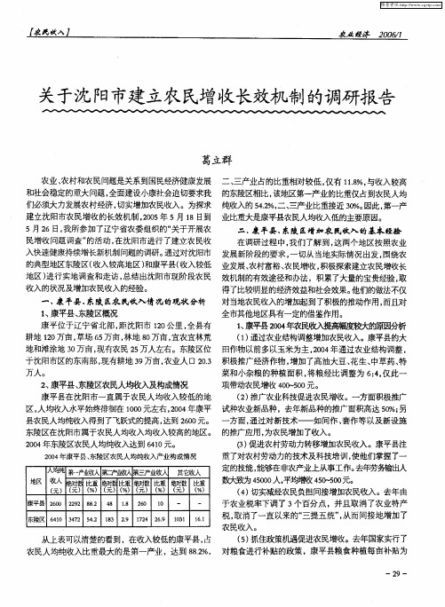 关于沈阳市建立农民增收长效机制的调研报告