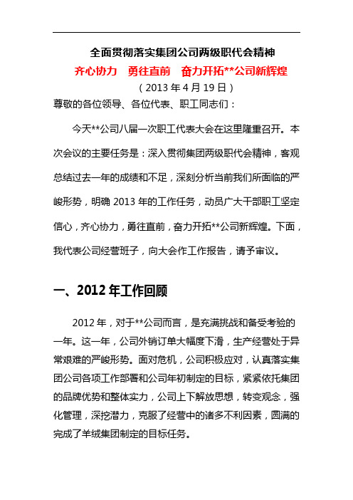 2013年公司职代会总经理工作报告