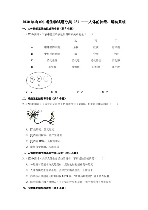 2020年山东中考生物试题分类(5)——人体的神经、运动系统(解析版)