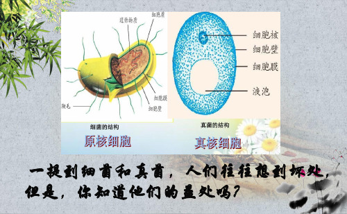 人教版初中生物八年级上册第五单元第四章第五节 人类对细菌和真菌的利用