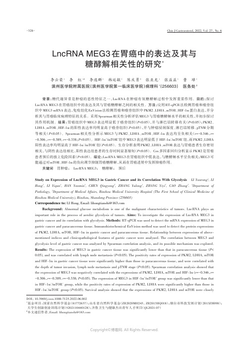 LncRNA_MEG3在胃癌中的表达及其与糖酵解相关性的研究　