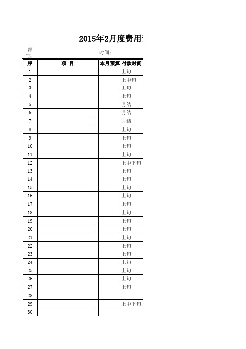 月度预算计划表