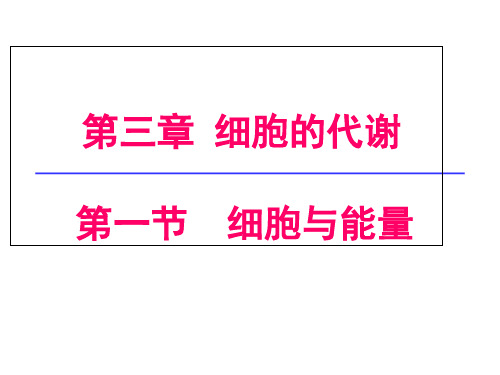 浙科版高中生物必修一3.1细胞与能量 课件(共21张PPT)