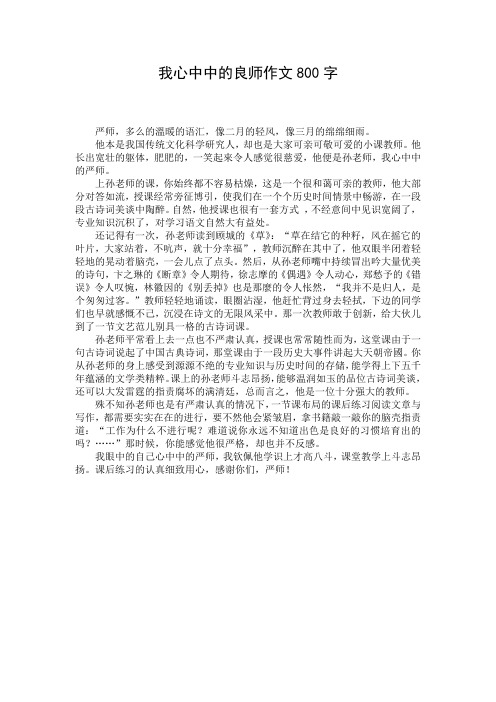 我心中中的良师作文800字