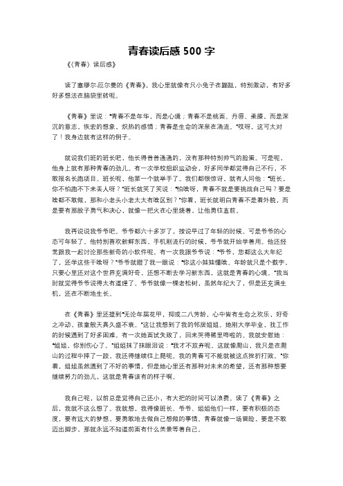 青春读后感500字