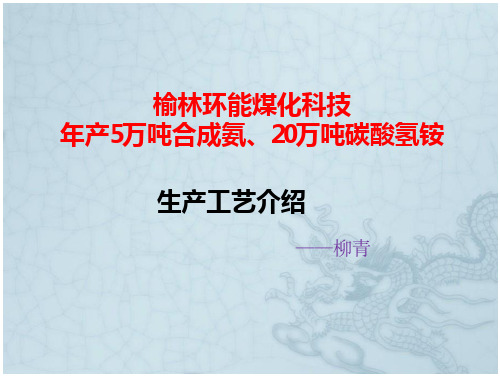 年产5万吨合成氨、20万吨碳酸氢铵工艺介绍.(125页)