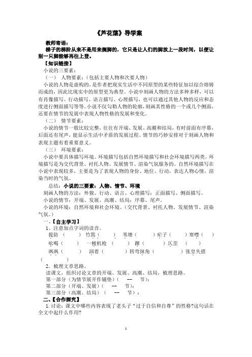 《芦花荡》导学案