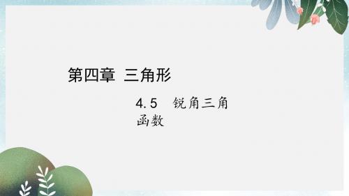中考数学复习第四章三角形4.5锐角三角函数课件