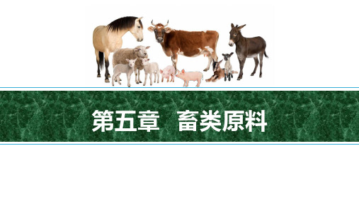 5.2.1畜类原料.猪肉(课件)- 《烹饪原料》同步教学(高教版).ppt