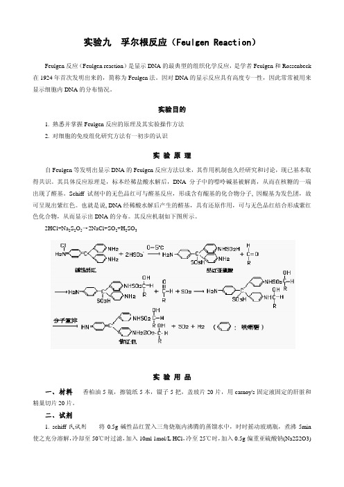 孚尔根反应