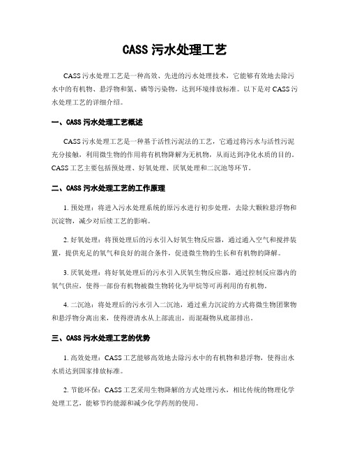 CASS污水处理工艺