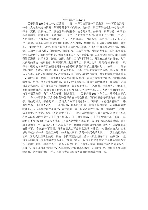 关于禁毒作文800字