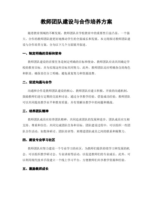 教师团队建设与合作培养方案