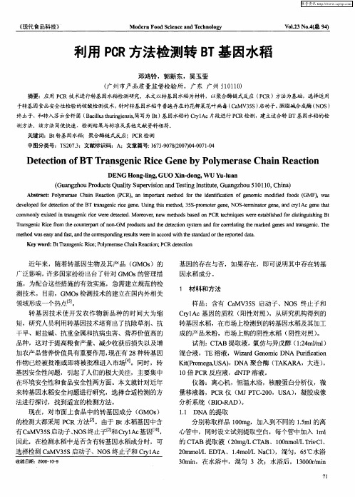 利用PCR方法检测转BT基因水稻