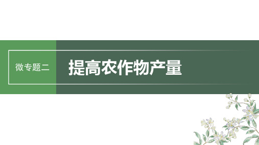 2024届高考一轮复习生物课件(新教材人教版苏冀)：提高农作物产量