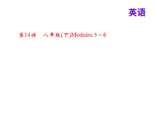 中考英语(外研版)总复习课件：第14讲 八年级(下)Modul