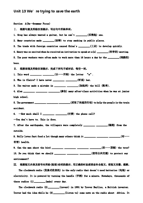 (含3套中考模拟卷)九年级英语全册Unit13精品SectionA(3a-GrammarFocus)习题