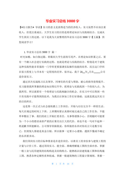 毕业实习总结3000字