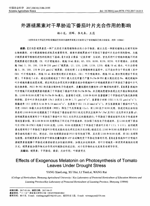 外源褪黑素对干旱胁迫下番茄叶片光合作用的影响