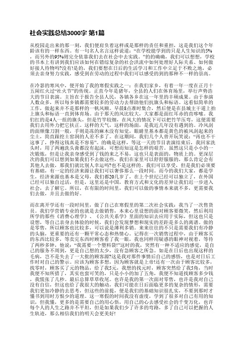 社会实践总结3000字(精选7篇)