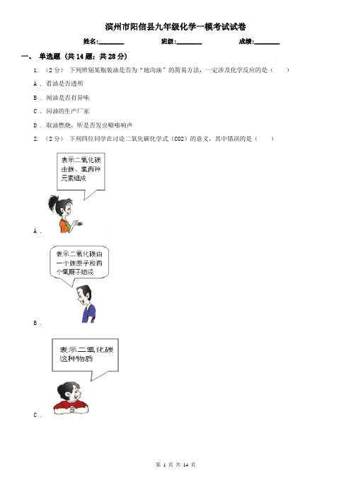 滨州市阳信县九年级化学一模考试试卷