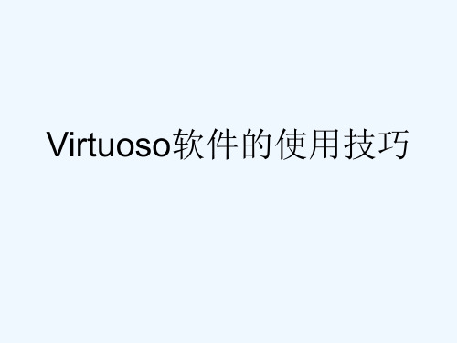 Virtuoso软件的使用技巧