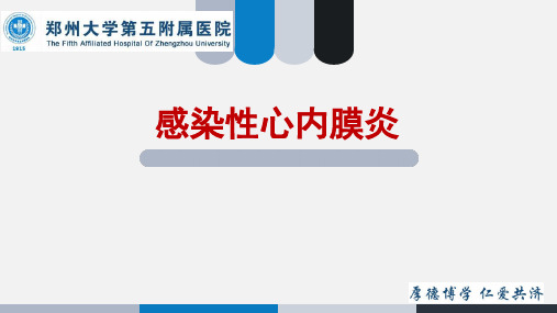 感染性心内膜炎-精品医学课件