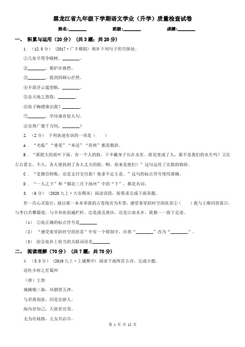 黑龙江省九年级下学期语文学业(升学)质量检查试卷