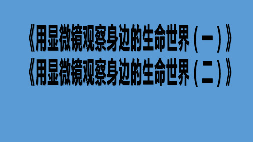 教科版六年级科学下册《用显微镜观察身边的生命世界(一)、(二)练习PPT(带解析)