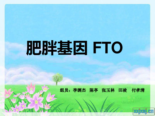 肥胖基因FTO