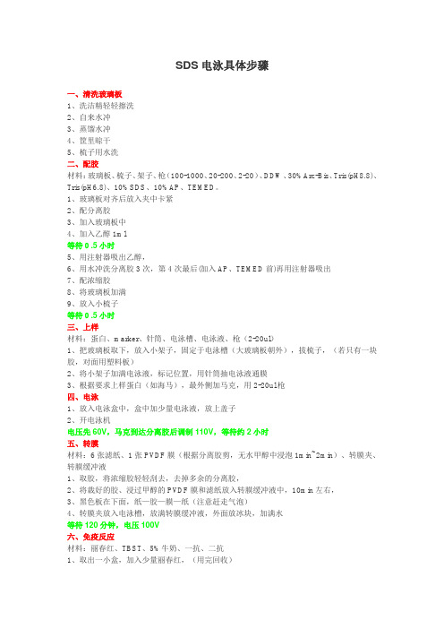 (完整word版)SDS-PAGE电泳具体步骤