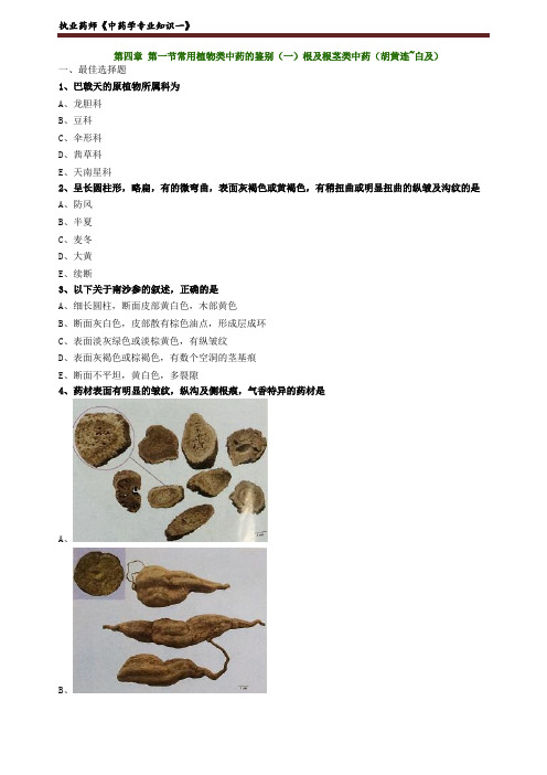 执业药师《中药学专业知识一》 常用植物类中药的鉴别(一)练习题