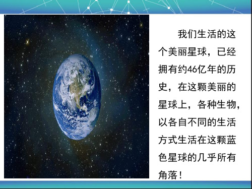 苏科版八年级下册生物26.2保护生物多样性 课件   (共34张PPT)