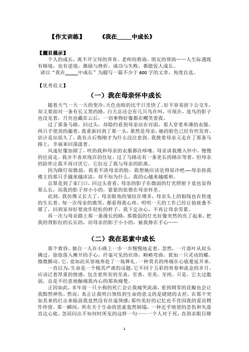 《我在-----中成长》例文