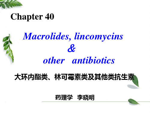大环内酯类、林可霉素类及多肽类抗生素