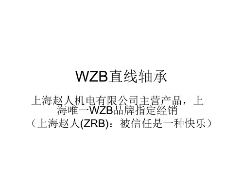 WZB直线轴承-简介