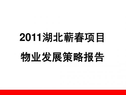 湖北蕲春项目物业发展策略报告55p