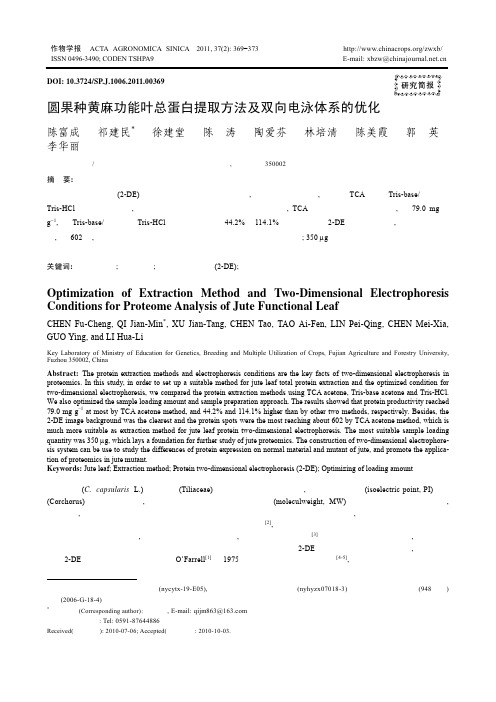 圆果种黄麻功能叶总蛋白提取方法及双向电泳体系的优化