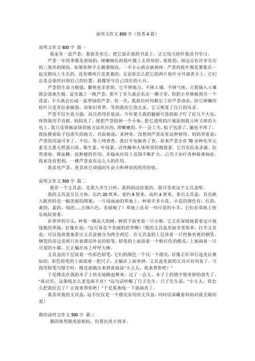 说明文作文600字(优秀4篇)