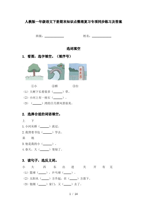 人教版一年级语文下册期末知识点整理复习专项同步练习及答案